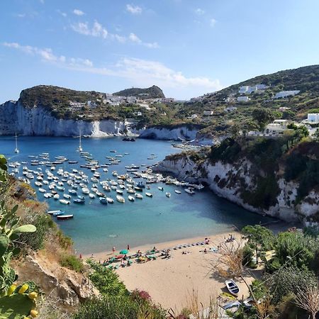 Ponza Holiday Homes - Cala Feola 外观 照片